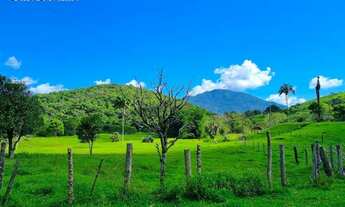 Imagem 2: Fazenda à venda, 2000000 m² por R$ 8.600.000,00 - Figueira Oca - Paulo Lopes/SC