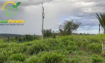 Imagem 5: FAZENDA Á VENDA M PACAJÁ - PA - 2.758,8 HECTARES (DUPLA APTIDÃO