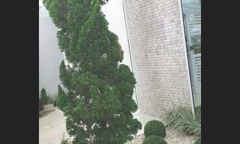 Imagem 7: CASA RESIDENCIAL em NITERÓI - RJ, CAMBOINHAS