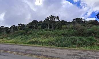 Imagem 6: Imóvel Rural 2 hectares Urubici/ Terreno Urubici