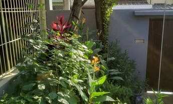 Imagem 3: Casa em Baeta Neves - São Bernardo do Campo