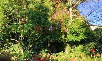 Imagem 6: Casa com 3 dormitórios à venda, 120 m² por R$ 265.000,00 - Parque Primavera - Esteio/RS