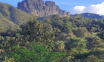 Imagem 2: Excelente terreno em Igarapé 1000m2