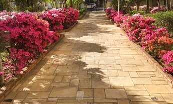 Imagem 6: Apartamento com 3 dormitórios à venda, 65 m² por R$ 430.000,00 - Vila Granada - São Paulo