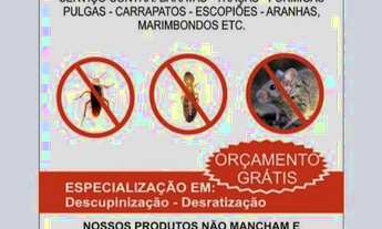 Imagem: Dedetização Dedetizadora Desratização