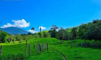 Imagem 3: Fazenda à venda, 2000000 m² por R$ 8.600.000,00 - Figueira Oca - Paulo Lopes/SC
