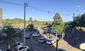 Imagem 6: CANOAS - Padrão - Mato Grande