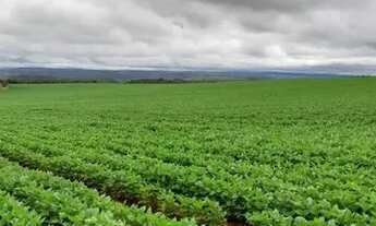 Imagem: Fazenda a venda em Alto Paraíso - GO