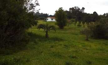 Imagem 3: Fazenda/Sítio/Chácara para venda possui 20000 m2 e pq casa com 1 quarto e muito verde