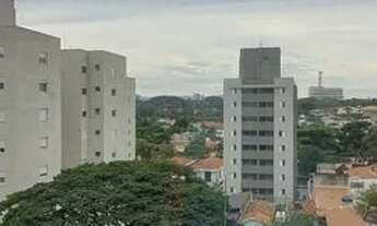 Imagem 7: Apartamento para aluguel, 3 quarto(s), Vila Leopoldina, São Paulo - AP4131