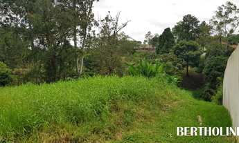 Imagem 7: PENEDO - Terreno Padrão - Jardim Martinelli