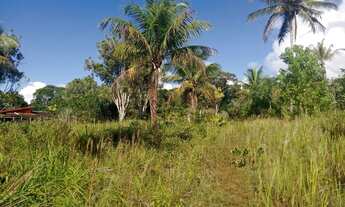 Imagem 3: Vendo excelente fazenda em taperoa