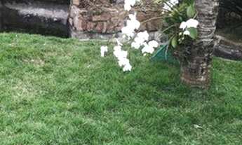 Imagem 2: Chácara em Recreio da Barra próx. ao Thermas Club