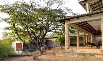 Imagem 7: Sobrado para venda tem 350 metros quadrados com 4 quartos em Zona Rural - Goiás - GO