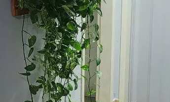 Imagem 4: Apartamento Apartamento com 2 dormitórios