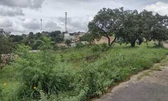 Imagem 3: Loteamento em Juatuba - lotes 360m² Água,Luz e Asfalto no Financiamento Próprio