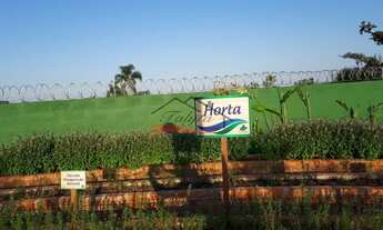 Imagem 6: SãO JOSé - Terreno Padrão - Sertão do Maruim