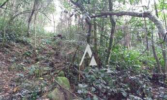 Imagem 4: Sitio à venda, Palhocinha, Garopaba -