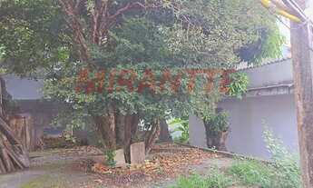 Imagem 2: Casa terrea de 423m² com 3 quartos em Vila Pauliceia