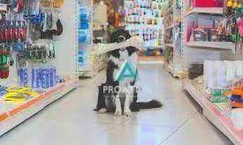 Imagem 5: Ponto à venda, 190 m² - Assunção- São Bernardo do Campo/SP