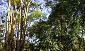 Imagem 5: Aruja, Casa com piscina, 6.000m²