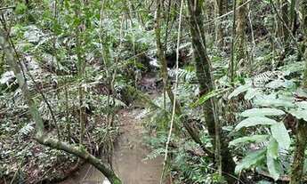 Imagem 11: Terreno para agricultura com 60.500m² ou 2,5 alqueires