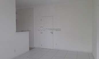 Imagem 4: SANTOS - Padrão - Gonzaga