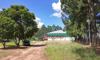 Imagem 2: Barracão para alugar, 1500 m² por R$ 35.000,00/mês - Distrito Industrial Domingos Biancard