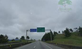 Imagem 3: Terreno industrial - 142.603,68m² - Quatro Barras