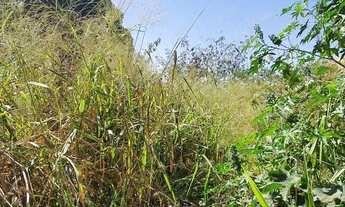 Imagem: Terreno à venda, 388 m² por R$ 191.000,00