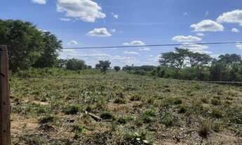 Imagem 3: FAZENDA À VENDA EM TUMTUM - MA - 2.400 HECTARES