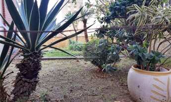 Imagem 7: Cobertura Bairro Santa Paula