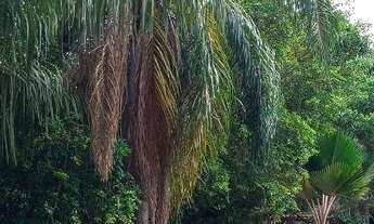 Imagem 2: Ótimos apartamentos com área de lazer completa!