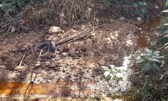 Imagem 4: Sítio à venda, 568700 m² por R$ 12.925.000 - Bairro dos Pintos - Itatiba/SP