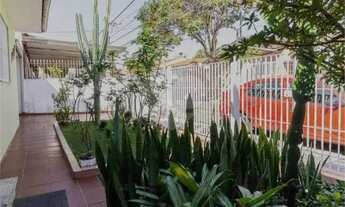 Imagem: Casa terréa 03 quartos Santo Amaro