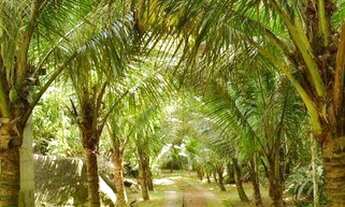 Imagem 3: Casa locação temporada, Praia do Leo