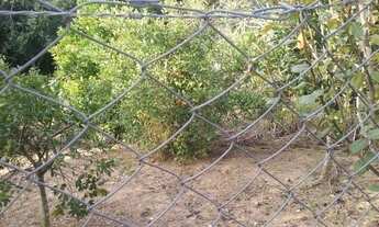 Imagem 5: CASA - JARDIM CANANÉIA