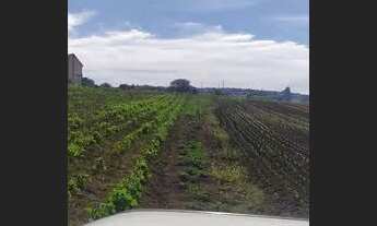 Imagem 6: TERRENO EXCELENTE PARA CONSTRUÇÃO DE CONDOMÍNIO OU CHÁCARA ÁREA DE 17700m