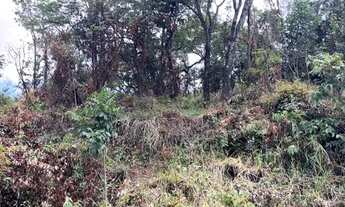 Imagem 3: Excelente terreno em Igarapé 1000m2