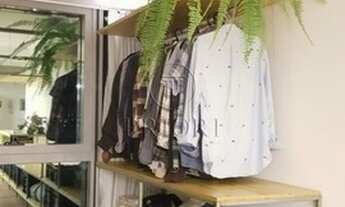 Imagem 5: PORTO ALEGRE - Apartamento Padrão - Praia de Belas