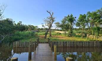 Imagem 3: Terreno de Rancho à venda por R$ 1.590.000 - Represa de Rifaina - Rifaina/SP