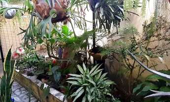 Imagem 2: Casa em Beta - Pindamonhangaba