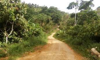 Imagem 7: Fazenda entre Gandu e Wenceslau Guimarães-BR 101