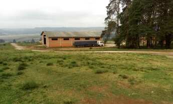 Imagem 6: Excelente oportunidade