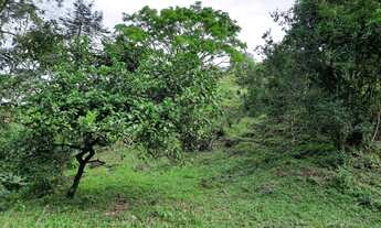 Imagem 5: Área de Sítio Em Santo Amara Da Imperatriz Com Riacho Dentro do Terreno