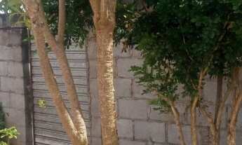 Imagem 5: Vendo-Ótimo terreno (Com Escritura) medindo 300 m² próximo ao Colégio Asas de Papel