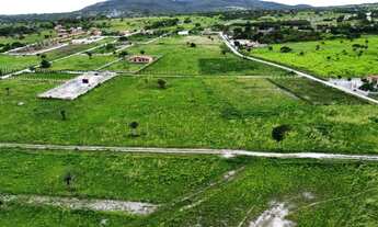 Imagem 6: Terreno de Chacara em Serrinha