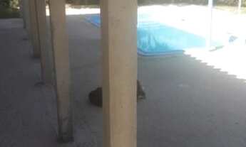 Imagem 7: Sítio em Taquaraçu de Minas