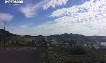 Imagem 3: FLORES DA CUNHA - Terreno Padrão - Nova Trento