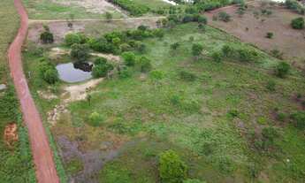 Imagem 2: Sítio !!De R$730mil por R$590mil !! com 23,5 ha., a 1,5 km de N. Sra. do Livramento